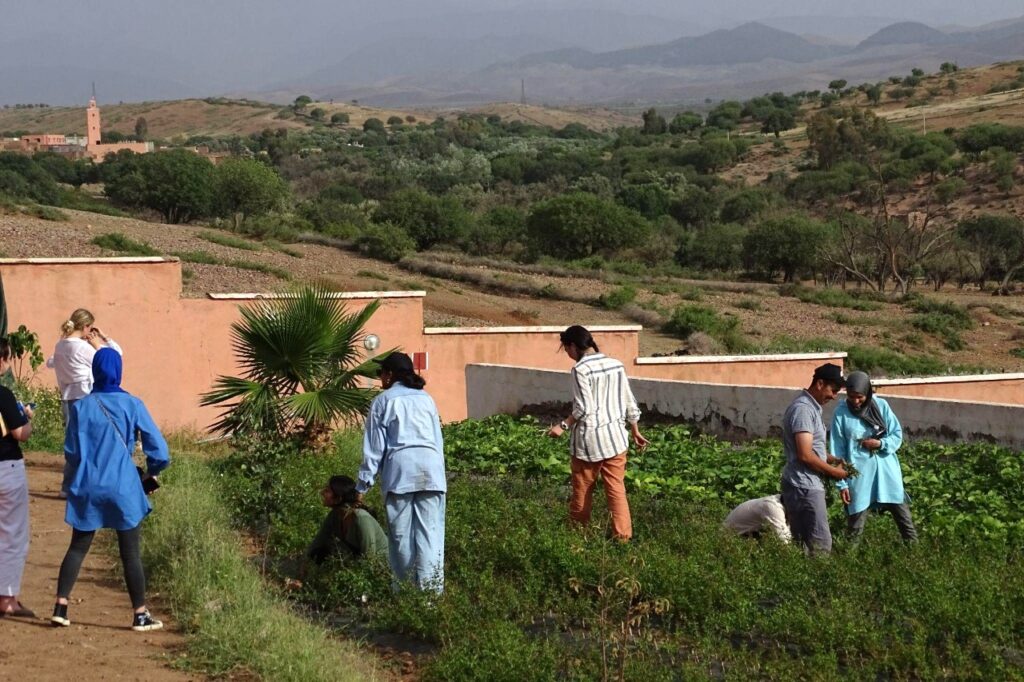 nature based solutions morocco. photo c/o high atlas foundation.