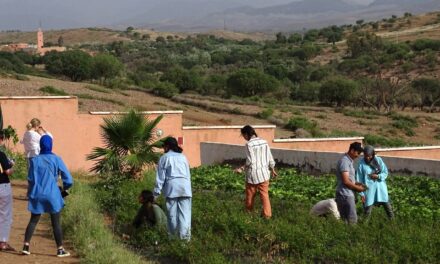 Tech vs. Trees: Why Nature-Based Solutions Like Tree Planting Are Essential for Restoring the Environment